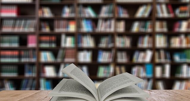 Bücherregale, zur Buchausstellung