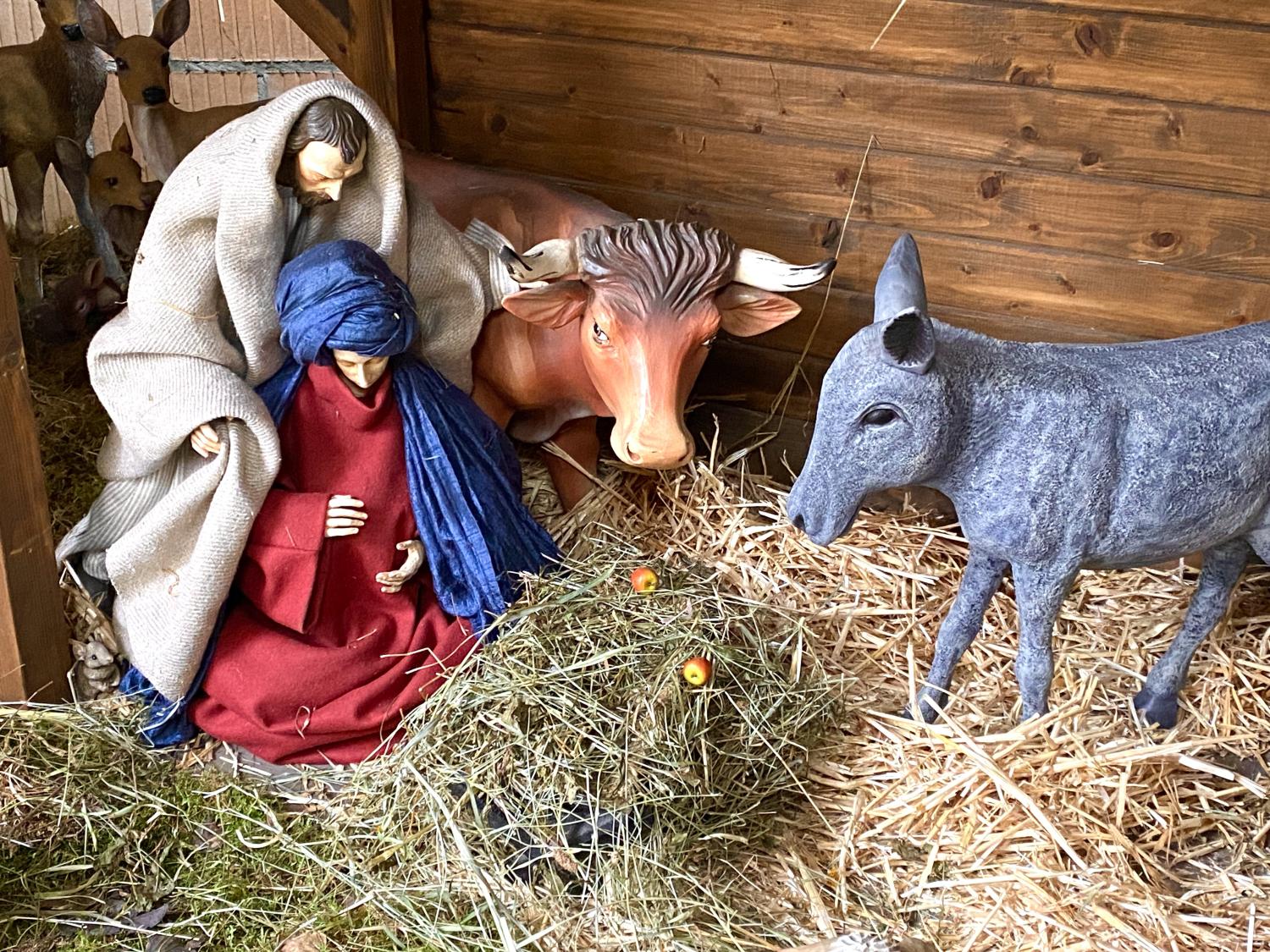 Figuren in der Krippe, Erwartung Geburt Jesus Christus