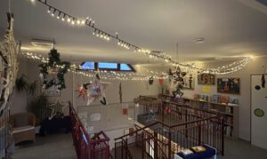 Bastelaktion der Kita, Eltern basteln Sterne