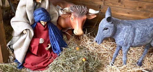 Figuren in der Krippe, Erwartung Geburt Jesus Christus